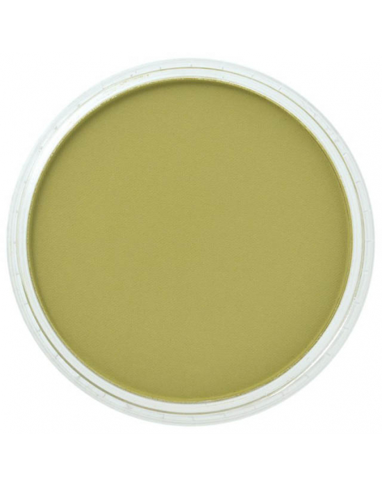 Pan Pastel Bright Yellow Green shade