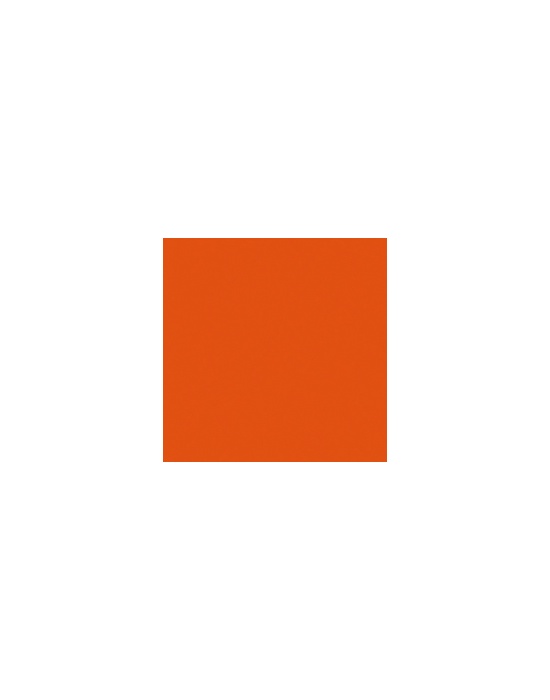 Acrylic paint Carrot