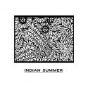 Texture Pixie Art Indian summer