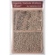 M. Muir texture stamps Shore